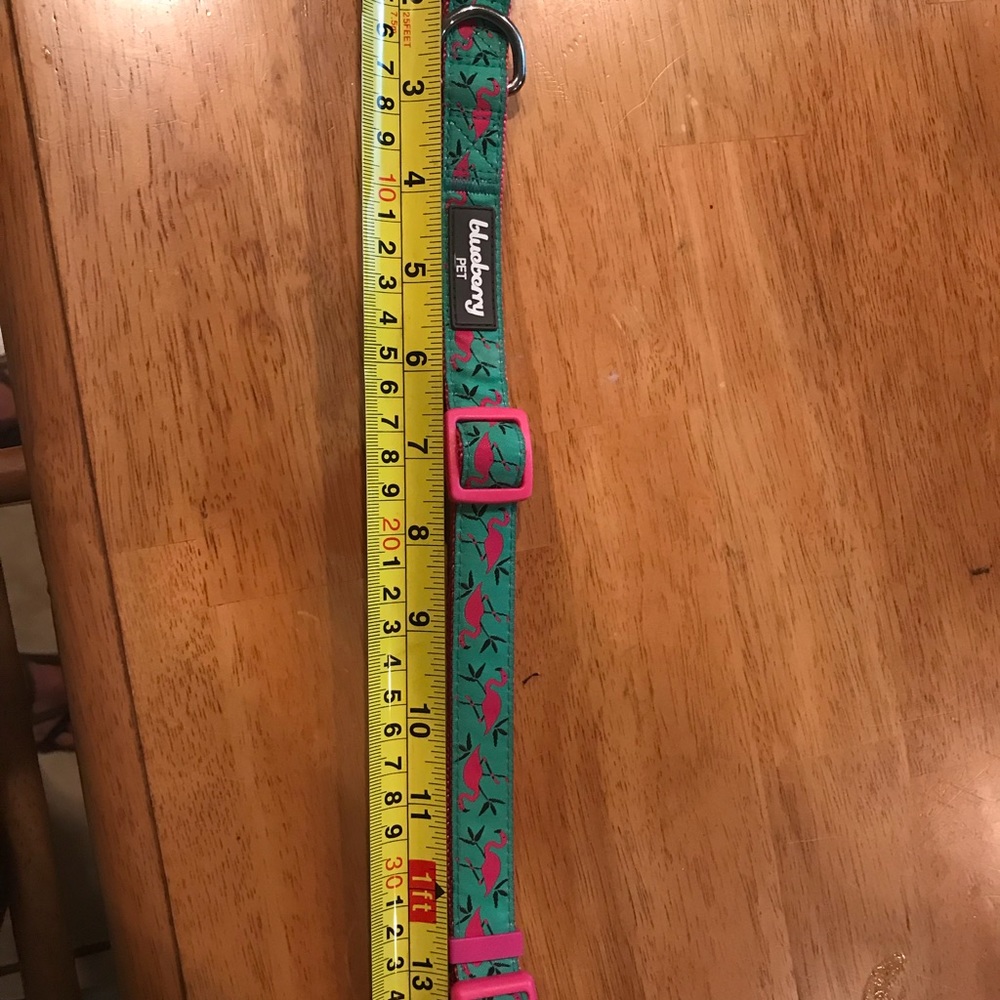 Medium dog collar.  Only wore for a week too big